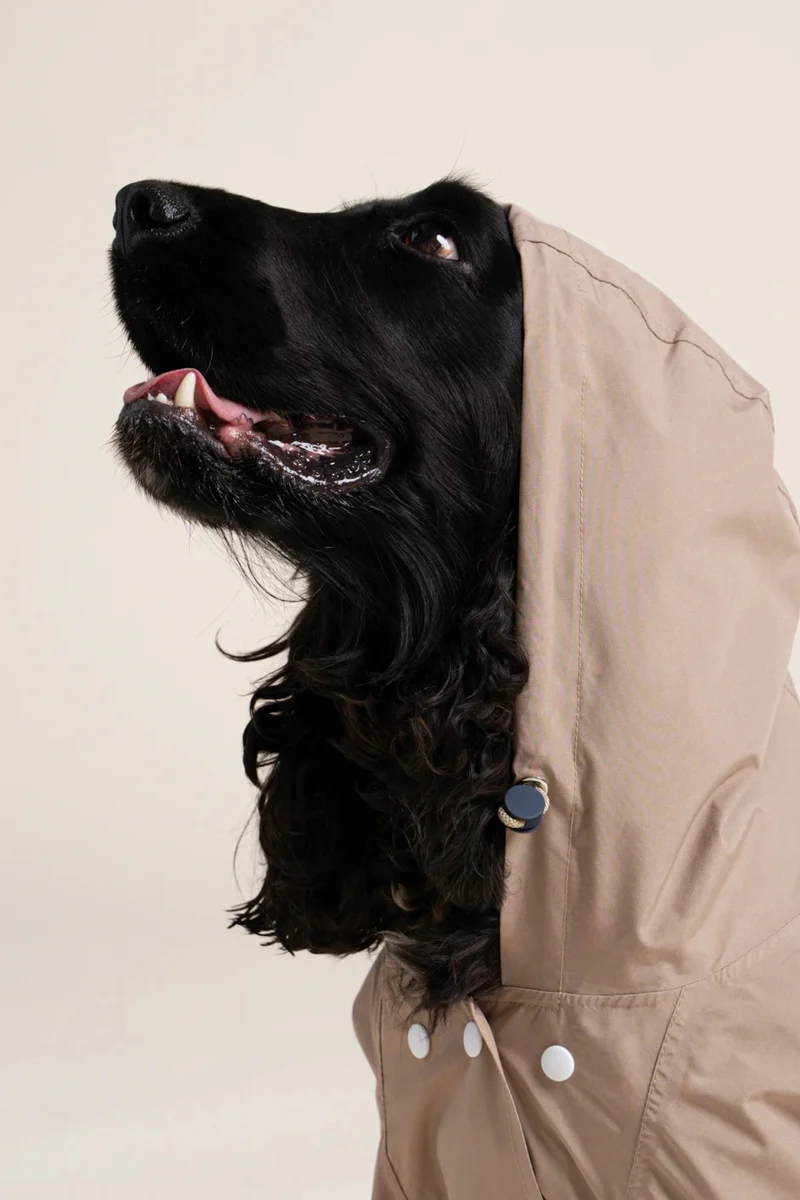 Boulogne - Imperméable pour chien