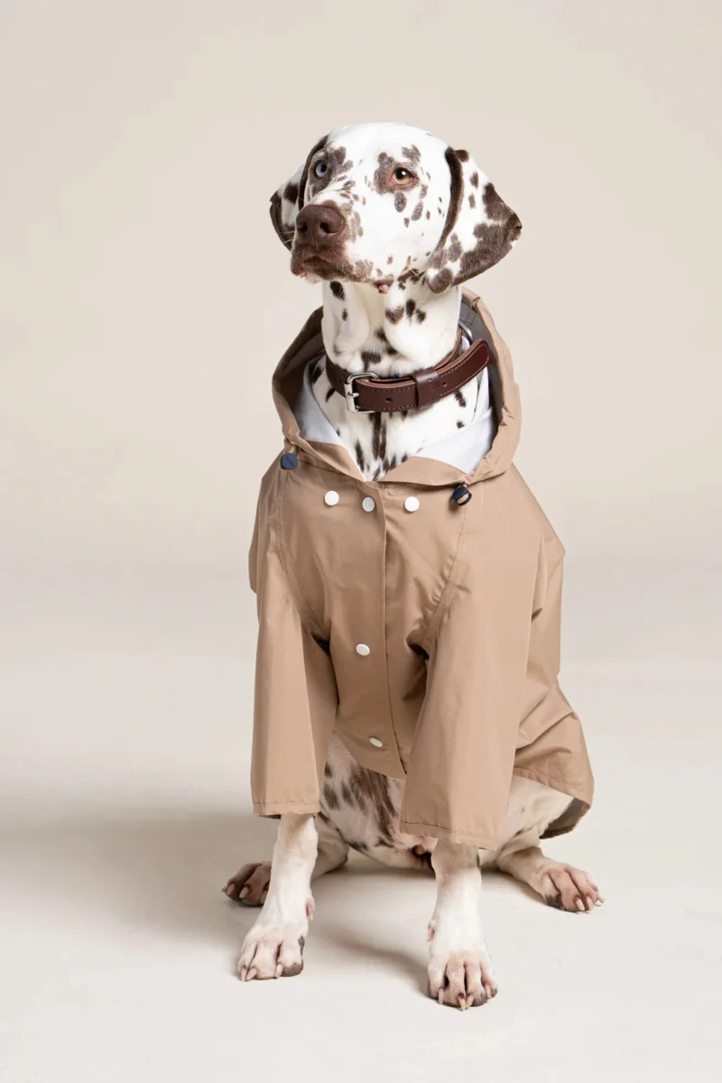 Boulogne - Imperméable pour chien