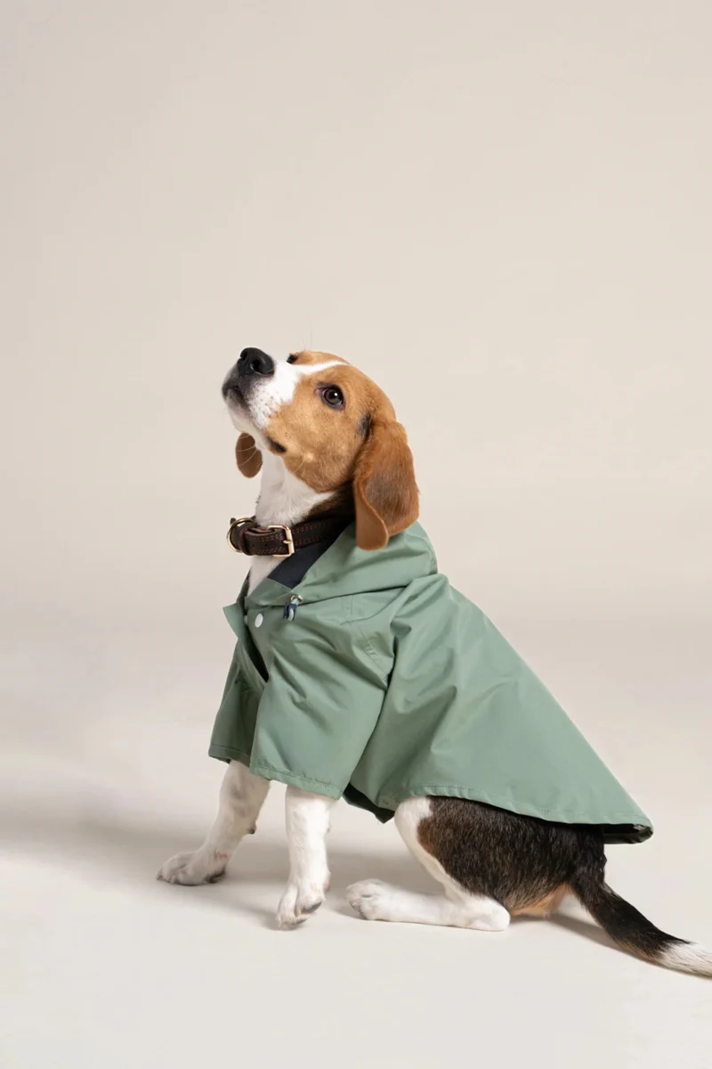 Boulogne - Imperméable pour chien