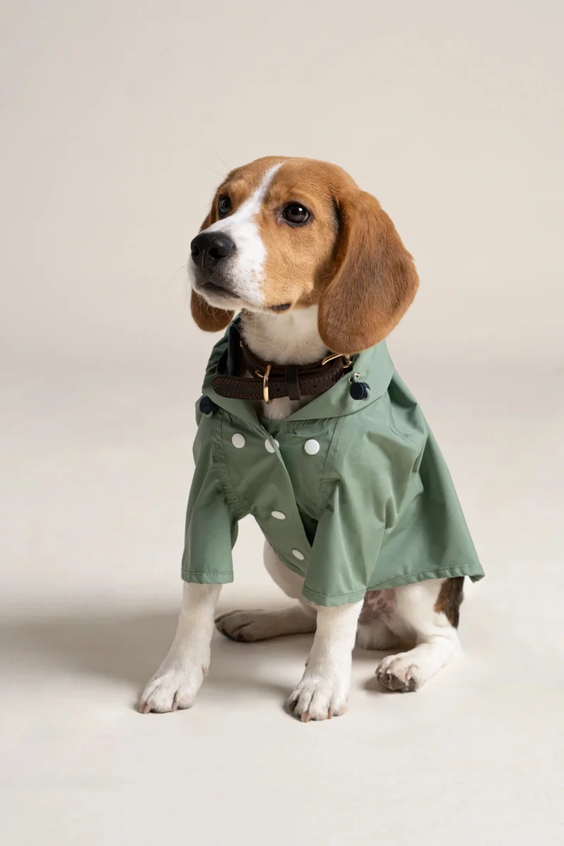 Boulogne - Imperméable pour chien