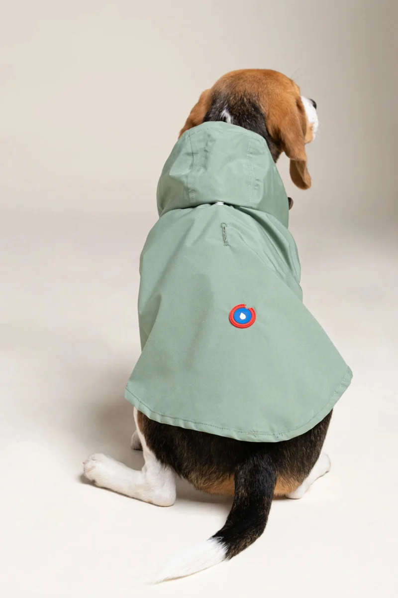 Boulogne - Imperméable pour chien