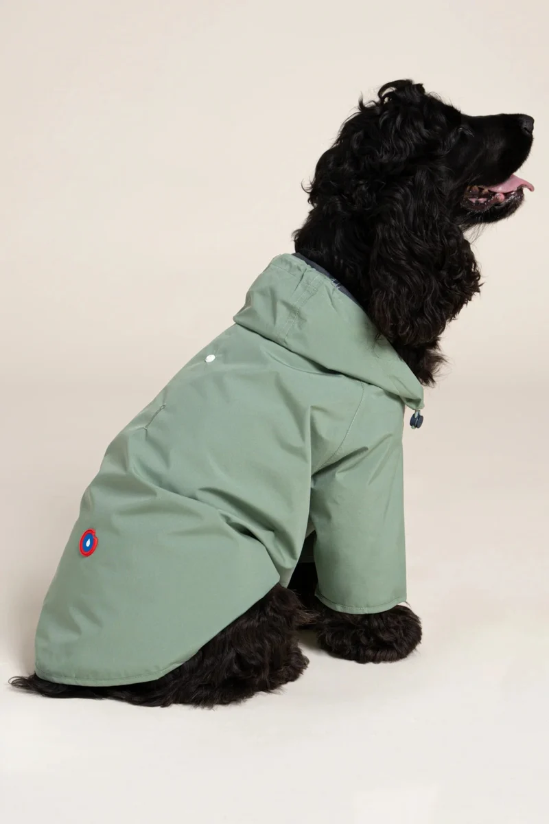 Boulogne - Imperméable pour chien