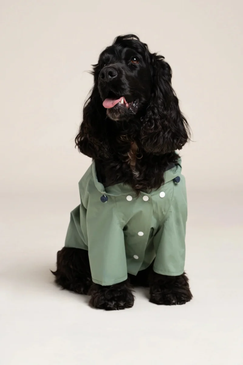 Boulogne - Imperméable pour chien
