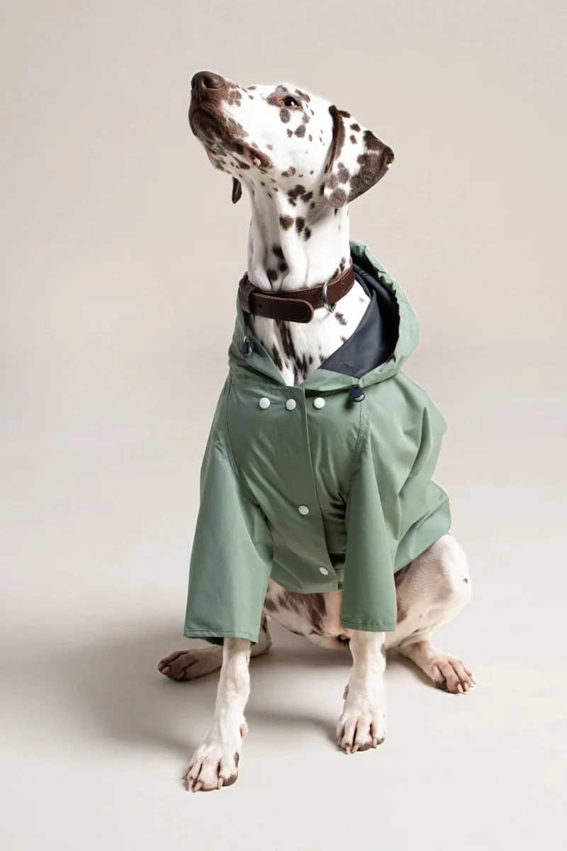 Boulogne - Imperméable pour chien