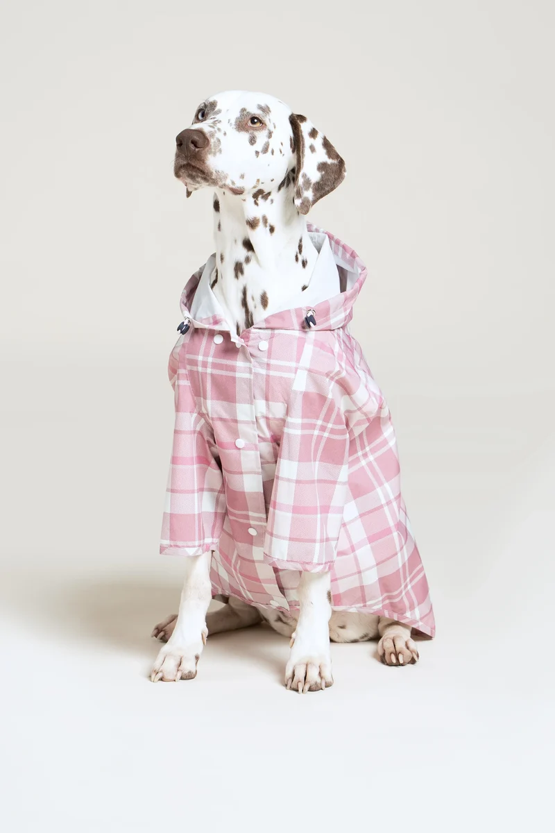 Boulogne - Imperméable pour chien