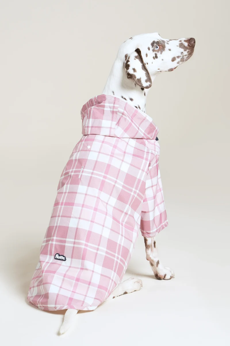 Boulogne - Imperméable pour chien