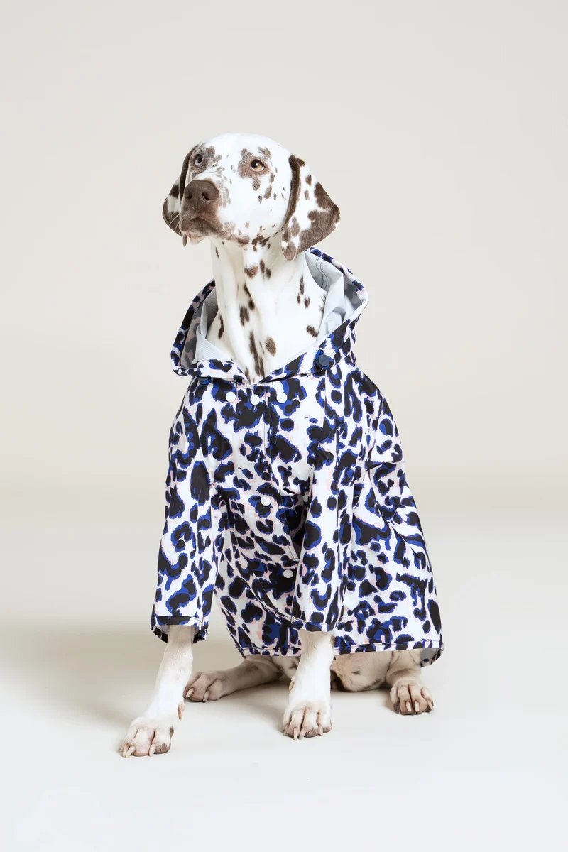 Boulogne - Imperméable pour chien