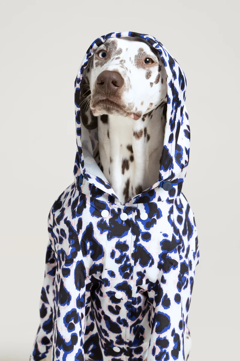 Boulogne - Imperméable pour chien
