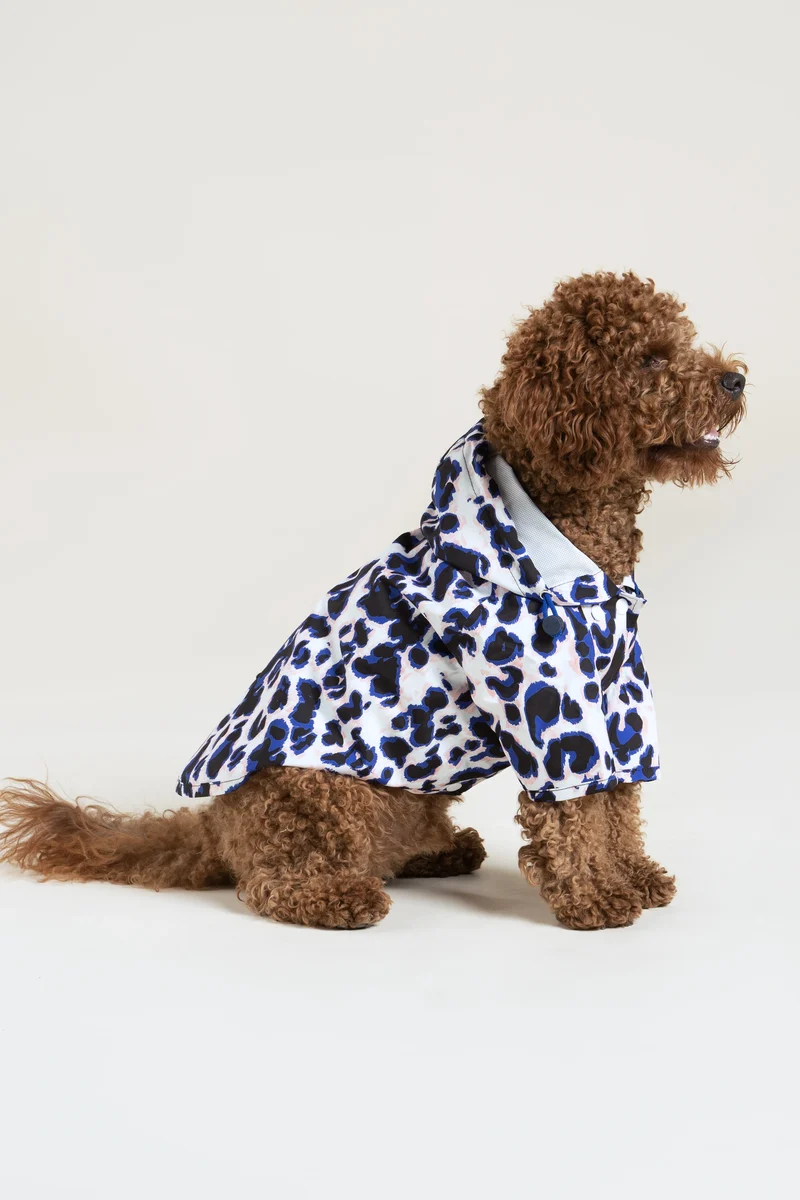 Boulogne - Imperméable pour chien