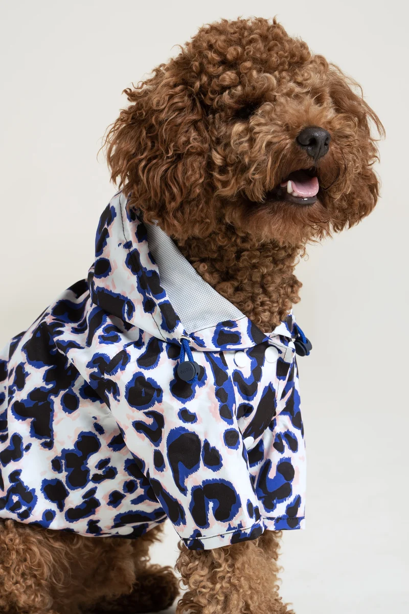 Boulogne - Imperméable pour chien
