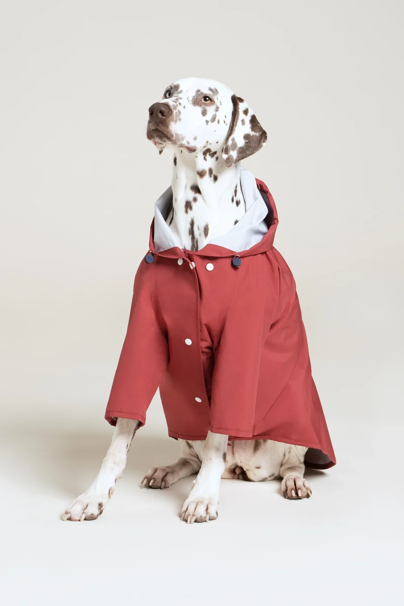 Boulogne - Imperméable pour chien