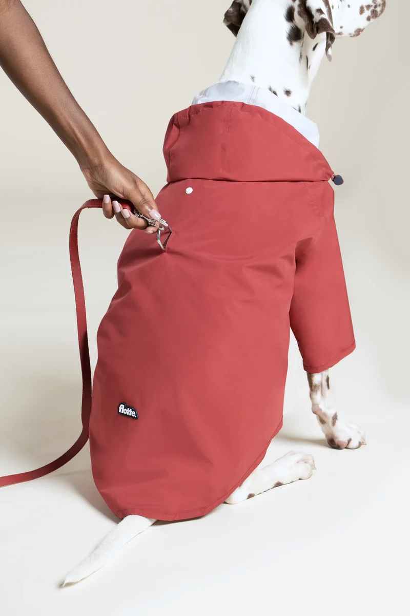 Boulogne - Imperméable pour chien
