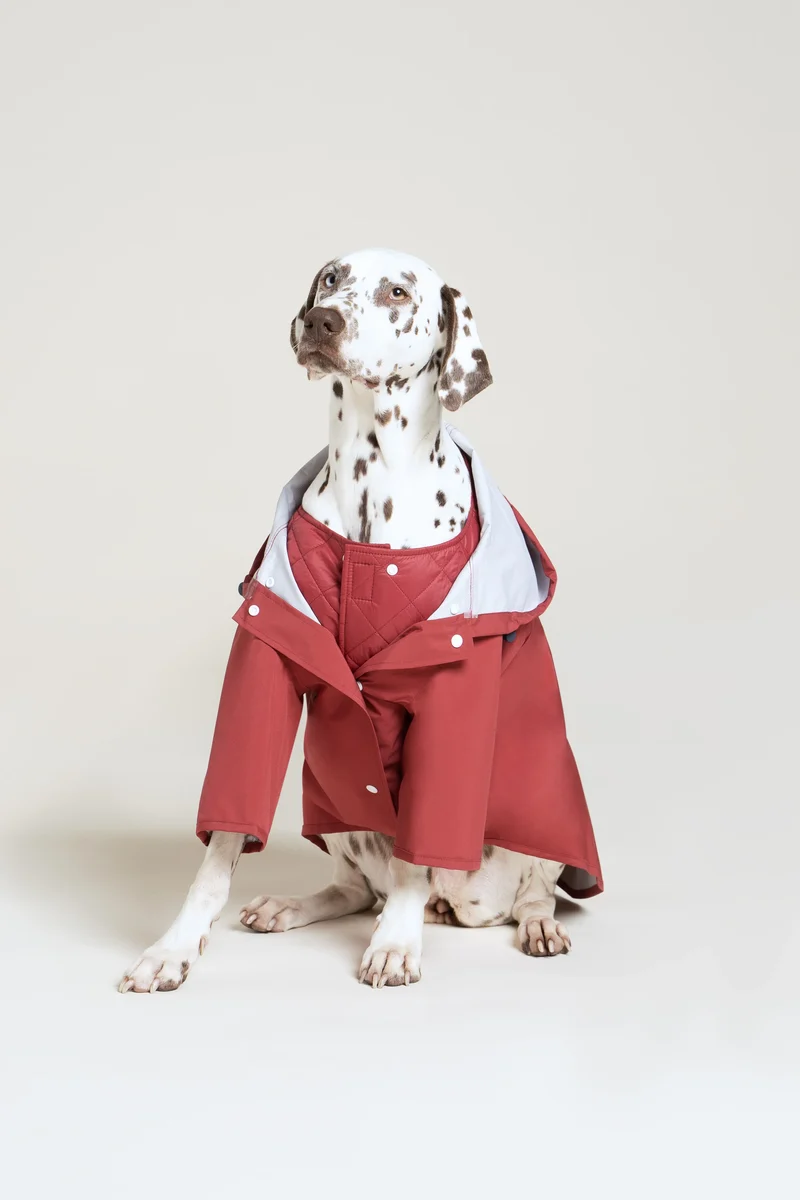 Boulogne - Imperméable pour chien