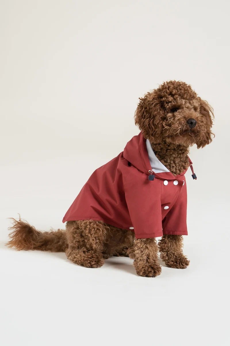 Boulogne - Imperméable pour chien
