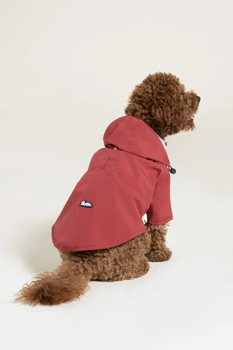 Boulogne - Imperméable pour chien