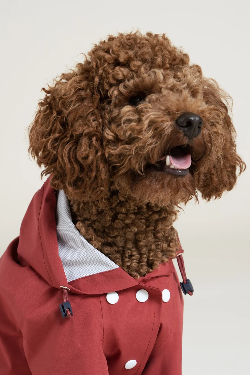 Boulogne - Imperméable pour chien