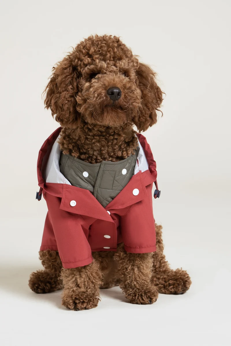 Boulogne - Imperméable pour chien