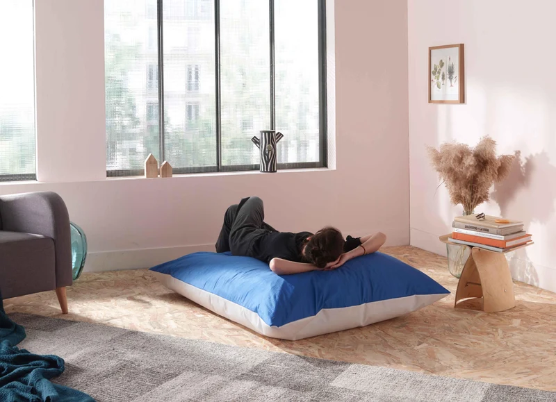 Housse de Petit Bleu