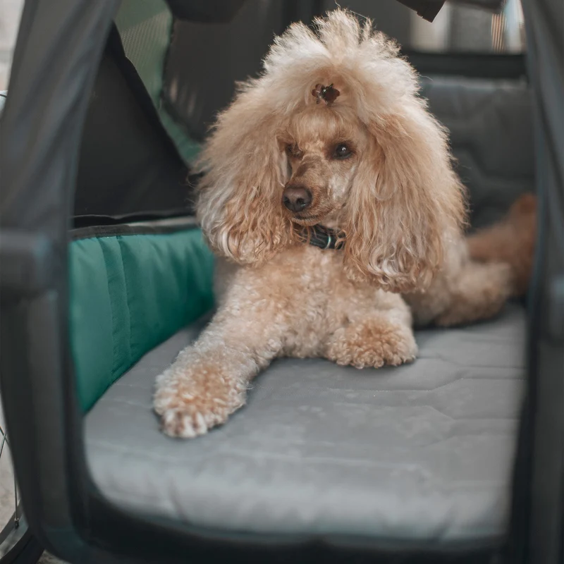 Coussin pour chien Thule - Bexey Dog Bed