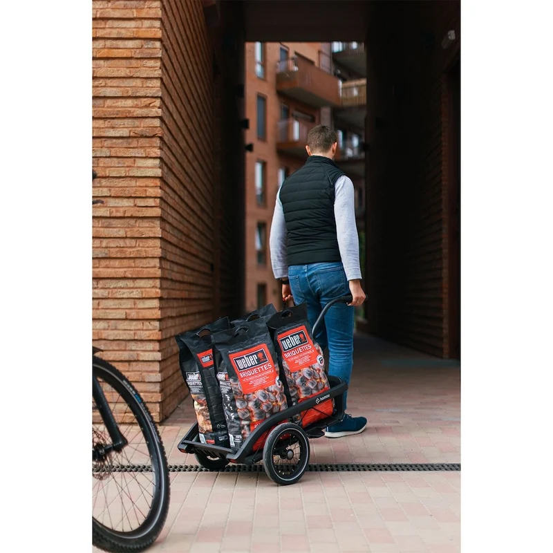 Remorque vélo cargo Hamax – Venture