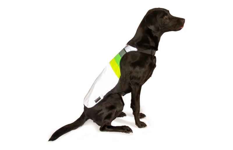 Gilet pour chien GoFluo – Moonlight