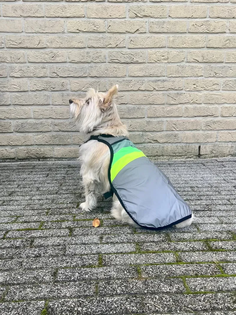 Gilet pour chien GoFluo – Moonlight