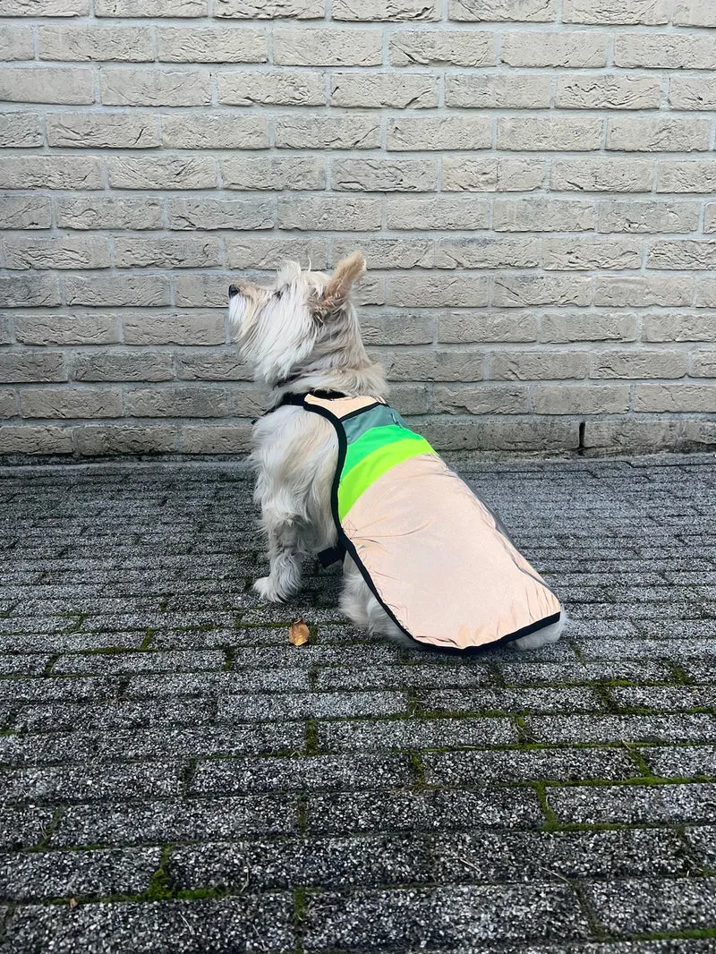 Gilet pour chien GoFluo – Moonlight