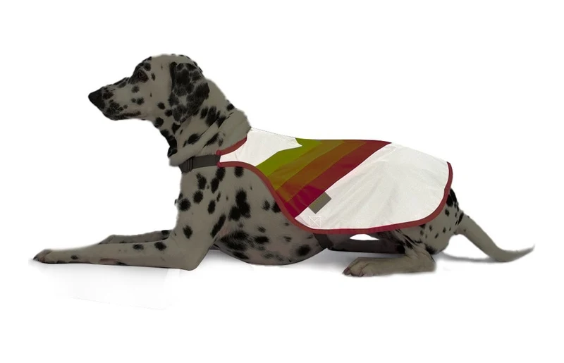 Gilet pour chien GoFluo – Luna