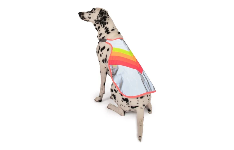 Gilet pour chien GoFluo – Luna